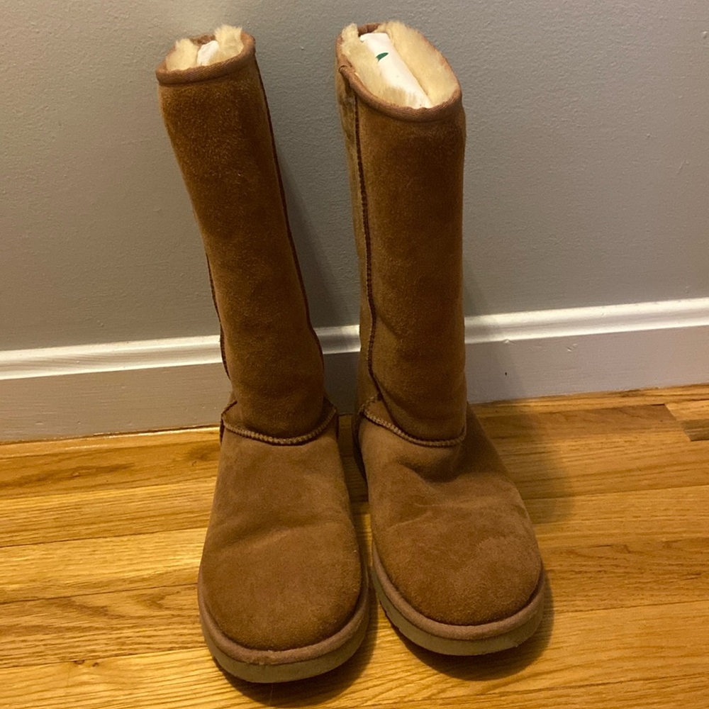 Chestnut Uggs